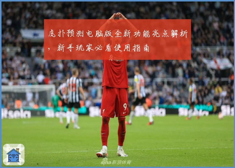 虎扑预测电脑版全新功能亮点解析，新手玩家必看使用指南
