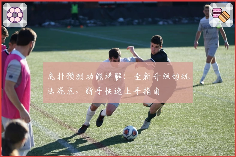 虎扑预测功能详解:全新升级的玩法亮点,新手快速上手指南