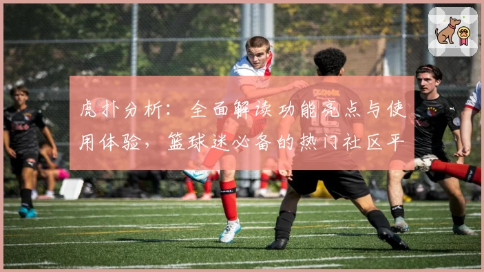 虎扑分析：全面解读功能亮点与使用体验，篮球迷必备的热门社区平台