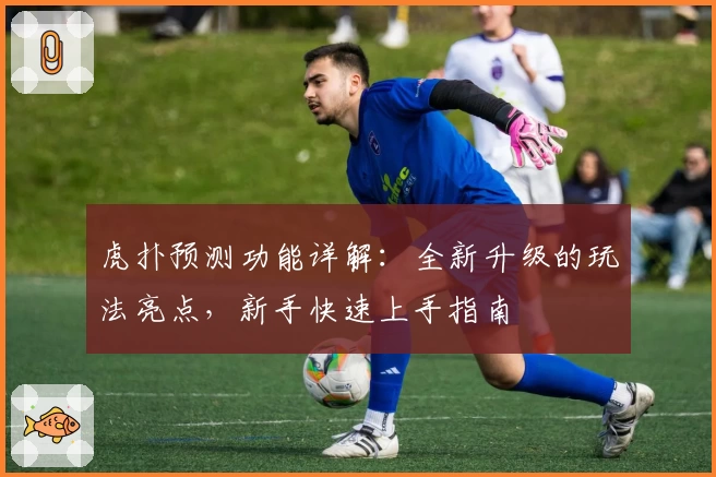 虎扑预测功能详解：全新升级的玩法亮点，新手快速上手指南
