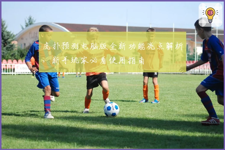 虎扑预测电脑版全新功能亮点解析，新手玩家必看使用指南